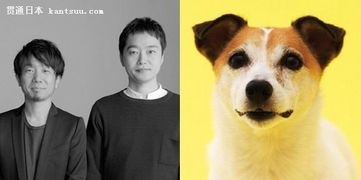 汪星人的住房需求，你懂嗎？電影攝制服務的視角